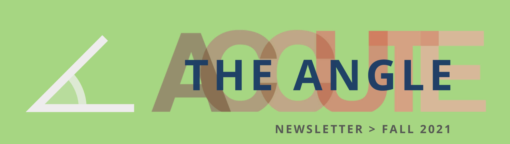 Newsletter Header Graphic for The Angle Fall 2021 issue by ACCUTE